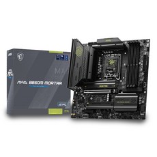 MSI MAG B860M 박격포, 단일옵션