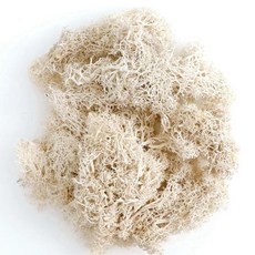 공예품 인조 꽃 거실 홈 장식품 녹색 식물 인공 이끼 정원 장식, 1개