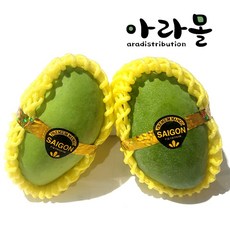 아라몰 베트남 그린망고 (Vietnam Keo mango), 5kg(14수), 1박스