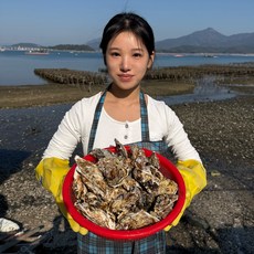 싱싱보따리 통영 석화 굴 바위굴 각굴 삼배체 벚굴 캠핑용 구이, 1개, 석화 10kg