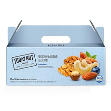투데이넛 너트한줌 프리미엄 견과 선물세트 30개입 600g, 1세트
