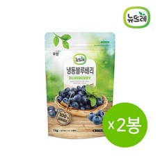 뉴뜨레 냉동과일 블루베리 칠레 1kg 2봉 / 총 2kg, 2개
