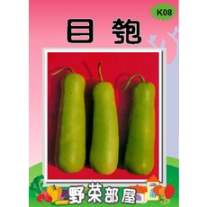 【野菜部屋~】K08 目瓠種子中包裝 栽培容易, 1包