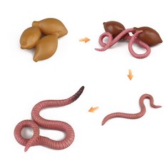 [오꿈] 곤충피규어 한살이 성장과정 자연관찰 생애주기 학습모형 세트, 16 지렁이(성장), 1개