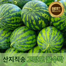 [다정한과일] 제철과일 고당도 꿀수박 (새벽경매/산지직송), 1박스, (산지직송) 5kg 이상
