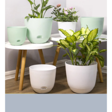 [리리즈] 가정용 인테리어 수경재배 콩나물재배 화분, 민트