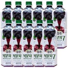 복분자원액 (참존 835ml) X 12, 11개, 835ml
