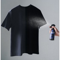 생활백서 블랙코트 환원제 색상 복원 스프레이 1개, 300ml, 1색