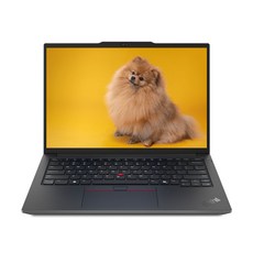 레노버 2025 씽크패드 E14 G6 라이젠7 라이젠 7000 시리즈, Black, 1TB, 24GB, Free DOS, 21M3006UKD