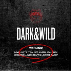 개봉앨범 포토카드 없음 | 방탄소년단 (BTS) - 1집 - DARKWILD