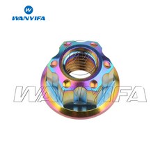 Wa ifa 티타늄 너트 M6 M8 M16 패스너 25 피치 M14 육각 플랜지 M12 Ti Torx M10, M10 P1 5, Rai ow
