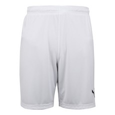 푸마반바지 리가 쇼트 WB70342804 ZQ 703428 04 2244361160 1729508