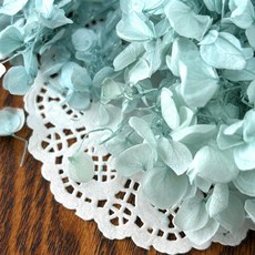 VITO zakka 木繡球永生花DIY乾燥花植物浮游花材花藝材料包拍攝道具DIY創作花材20g, 蘇打水(藍綠色)(現貨)