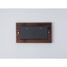 Panasonic國際牌 Risna 黑胡桃木開關面板蓋板 螢光2開灰色款, 1個, 螢光2開（灰