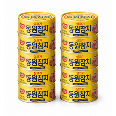 [골드라이스]동원참치 살코기 라이트스탠다드 250g 10캔, 1개