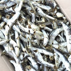 [백송식품]품질좋은 국산 햇 다시멸치 1.5kg 육수용멸치, 1개