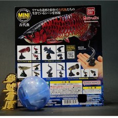 萬代 BANDAI 生物大圖鑑 古代魚扭蛋 (紅龍/藍底過背金龍/腔棘魚/雀鱔/皺鰓鯊), 1個, 小全三款2+3+4