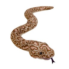 仿真緬甸蟒蛇毛絨玩具 可插手掌整蠱互動手偶, 1個, 蟒蛇,90cm