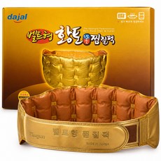 다잘 국산 황토 냉온 찜질팩 사계절사용, 벨트형, 1개