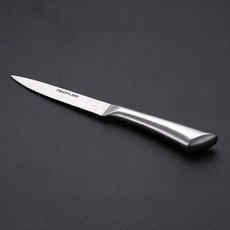 네오플램 올스텐 과도 대