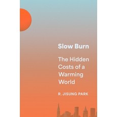 (영문도서) Slow Burn: The Hidden Costs of a Warming World Hardcover, Princeton University Press, English, 9780691221038