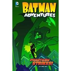 (영문도서) Phantasm Strikes! Library Binding, Stone Arch Books, English, 9781434260352