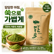 패크맨 여수 거문도 해풍 국산 쑥가루 100% 쑥분말, 100g, 1세트
