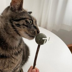 뚜또가또 캣닢볼 막대사탕 캣잎 장난감 스틱, 1개, 1kg, 단일옵션