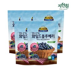 냉동 와일드블루베리 400g x 5팩, 5개