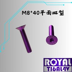 ROYAL 鈦合金螺絲 M8*40F皿平 P:1.25 飛碟頭 64鈦 正鈦螺絲 - 皇家紫, 1個