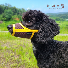 해리스힐 초경량 메쉬 컬러 입마개 S, 1개, 골든옐로우