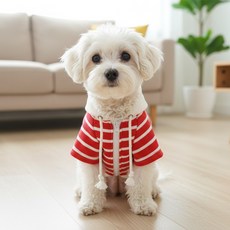 강아지옷 반려동물 기모후드티 애견옷 스트라이프 반려견티셔츠, 1개, 레드