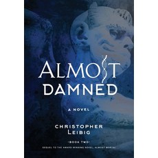 Almost Damned Hardcover, Koehler Books, English, 9781646632954