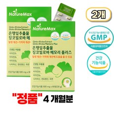 네이처맥스 은행잎추출물 징코빌로바 메모리 플러스 기억력개선 혈액순환 4개월분, 120박스, 1정