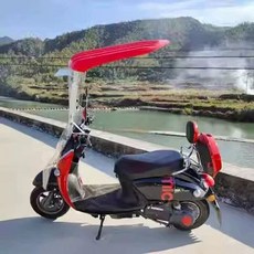 스쿠터 캐노피 오토바이 차양막 비가림막 커버 덮개 확장, + 블랙캐노피 + 로즈레드 포함, 기본 모델명/품번