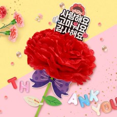 아트박스/하하당 마음 담은 대왕 카네이션, 상세페이지 참조, 상세페이지 참조