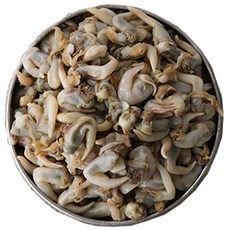 [MJ-FOOD] 자연산 손질 새조개, 20세트, 100g