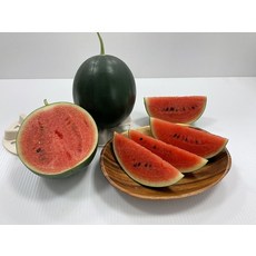 【野菜部屋~】R48 小黑迷你西瓜種子 中包裝 圓球形西瓜 紅肉西瓜 外皮黑到發亮 口感細緻~, 1包