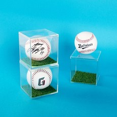 청년리빙 잔디 야구공 케이스 싸인볼 보관함, 케이스+잔디 1세트, 1개
