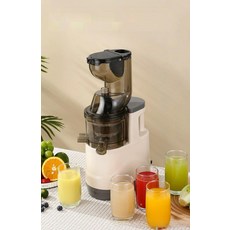 대형 야채 과일 주서기 가정용 착즙기 주스 분리 초대형 직경 잔여물 없는 맑은 주스 추출 건강한 라이프스타일 편리한 사용법, 표준 구성, 밀크 화이트 소구경