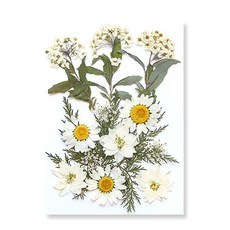 레진 아트 재료 UV 공예 에폭시 송진 필링용 말린 꽃 천연 식물 압착 DIY 펜던트 만들기 조화 생화, 2. K