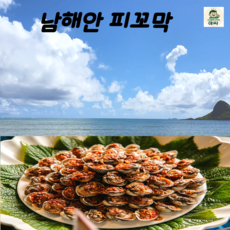 [살 꽉 찬] 한 입 베면 터지는 바다 감칠맛 남해안 피꼬막 3kg(45~60미 ), 1박스