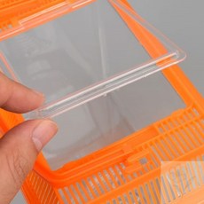 너블룸 곤충채집통 소형 파충류채집통