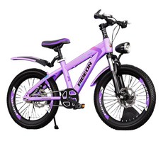 여아 입문용 두발자전거 20인치 저학년자전거 18인치, 18 인치, B. 퍼플