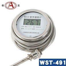 수온 측정 디지털 전자 고온 수온측정 온도 온수 디스플레이 나사형 측정기 방수, A. L2000mm호스 2미터, 1개