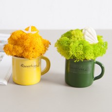 스칸디아모스 공기정화식물 화분 레인보우 set 9cm 5컬러 인테리어 천연 이끼 장식 소품 테이블플랜테리어, 씨클라멘, 씨클라멘