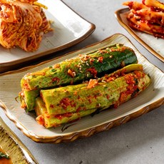 늘푸른 오이소박이 2kg