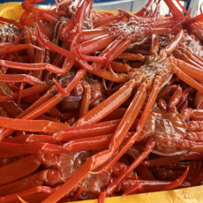 후포리 산지직송 자숙 박달홍게 4kg 당일조업 수율 80~90% 9미 내외, 1개