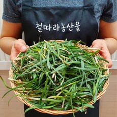 해풍맞은 햇 초벌 부추, 1kg, 1개