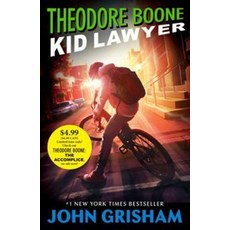 Theodore Boone:Kid Lawyer, Puffin (US)